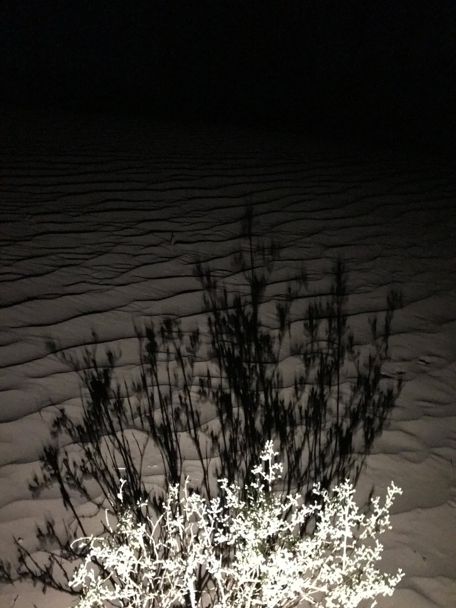 CompuphonicMax's tweet image. Spotify Playlist Updated
spoti.fi/2KX1TJn