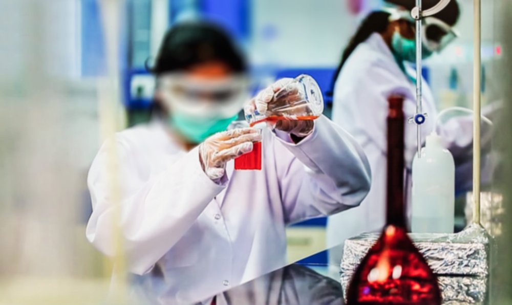 angiosoma_admin's tweet photo. #Biotechnology has applications  in four major industrial areas, including #health care (medical), crop  production and agriculture, non-food (industrial) uses of crops and  other products (e.g. biodegradable plastics, vegetable oil, biofuels), and environmental uses. #investing https://t.co/8eTgIJAium