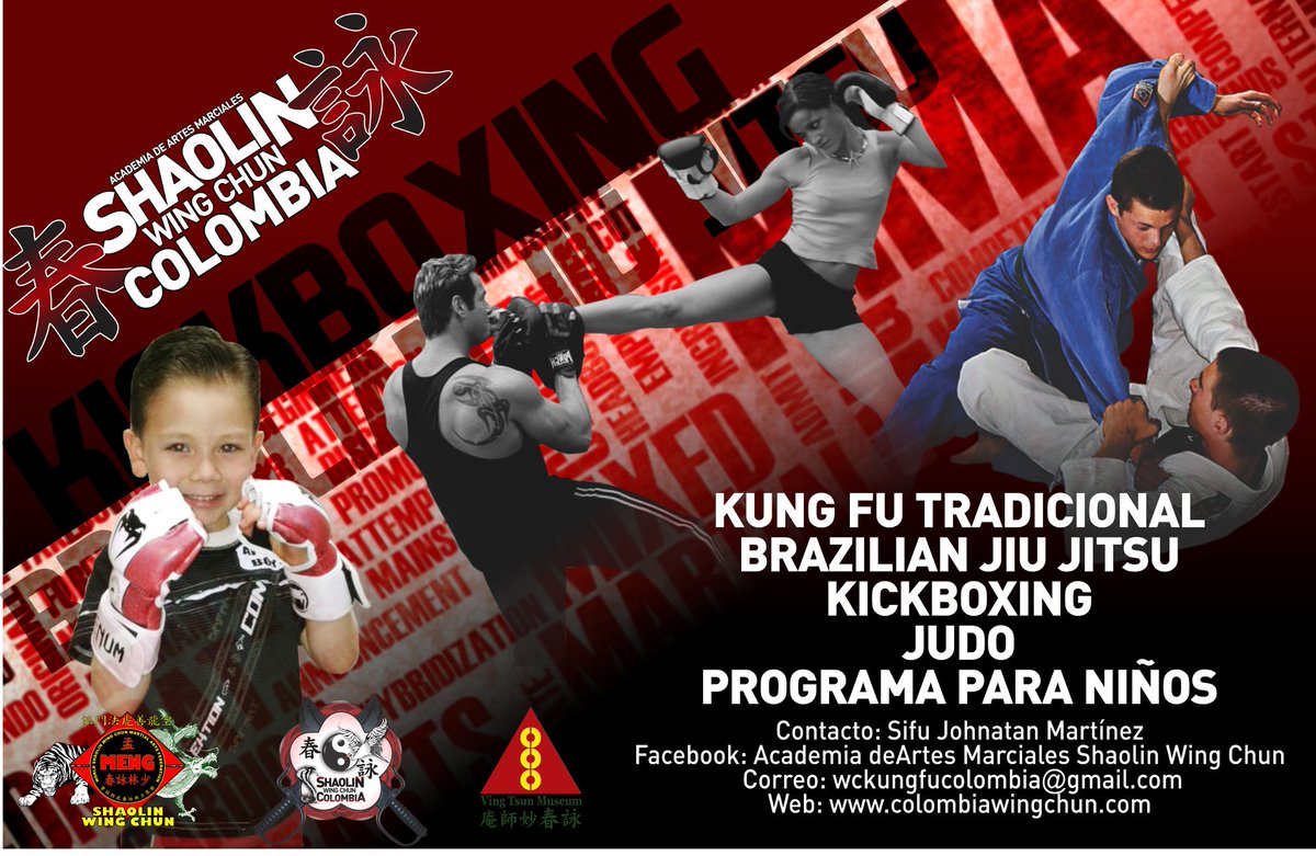 WING CHUN COLOMBIA tweet media