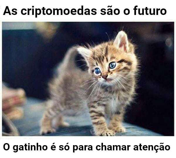 anthagas's tweet photo. Porque é sempre importante relembrar. #criptomoedas #blockchain #bitcoin #altcoins #bitcoinPT #bitcoinportugal @mundomoedas @bitcoin.portugal #bitcoinportugal https://t.co/hT8eu7jPQ8