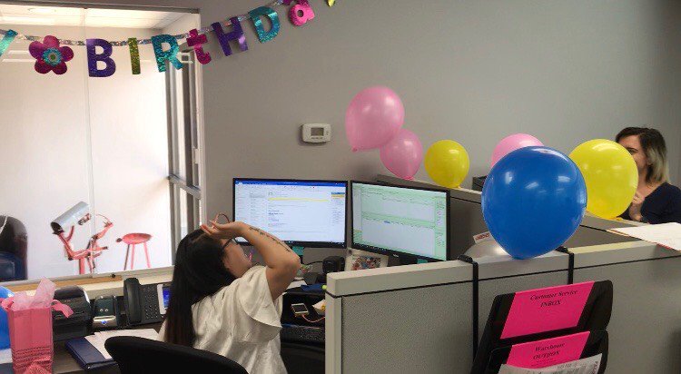 FelinsUSAInc's tweet photo. Guess what day it is! It's #FelinsFun Friday! Just a little balloon fight in the office. https://t.co/aNgsklpo9y