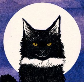 Horatiosfriend's tweet photo. @Booktrust Don't forget me, I'm almost black! #MalkinMoonlight #BlackCatAppreciationDay https://t.co/HkegaBLmdX