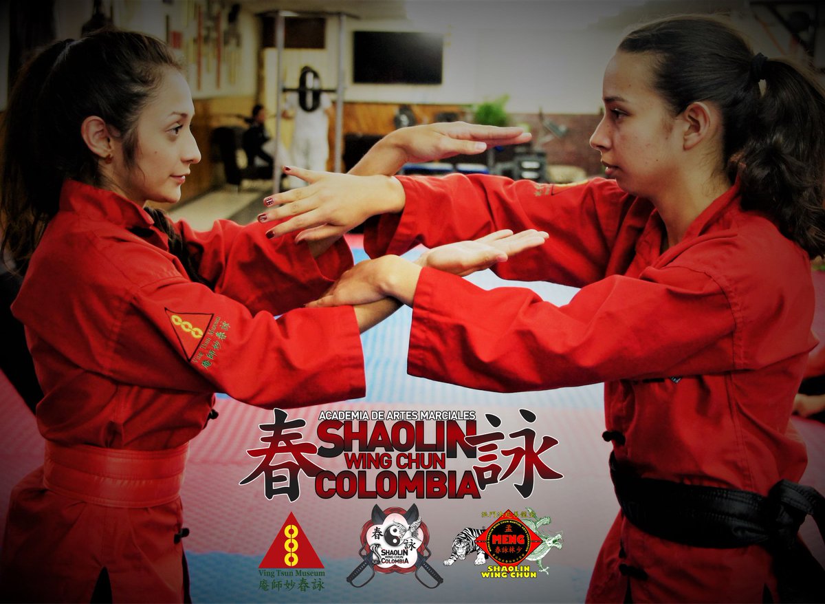 WING CHUN COLOMBIA tweet media