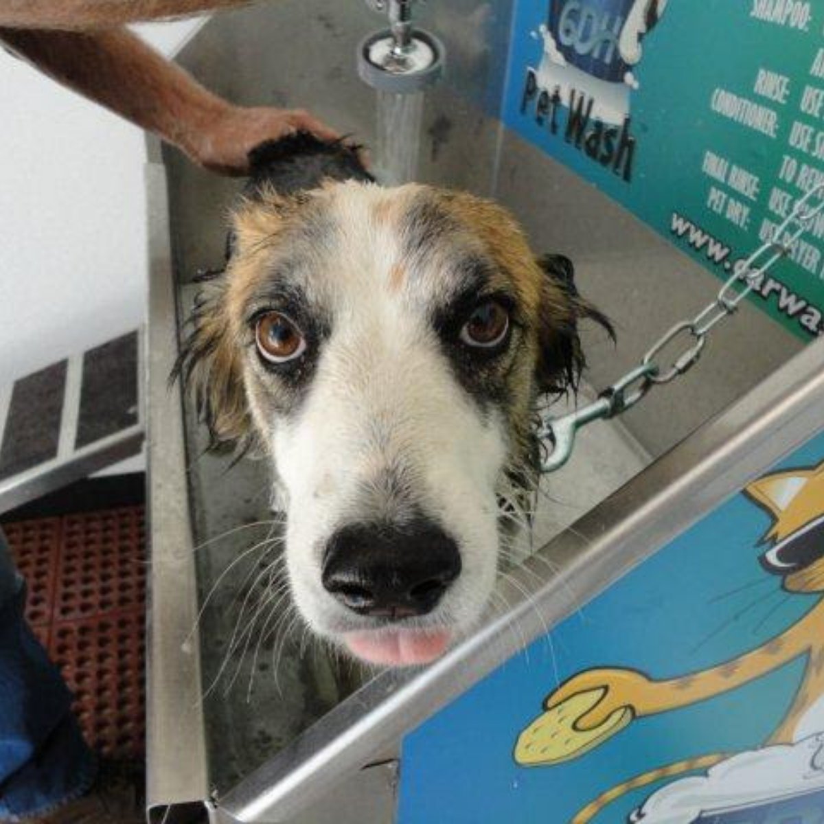 "Have you come to save me from this shower?"