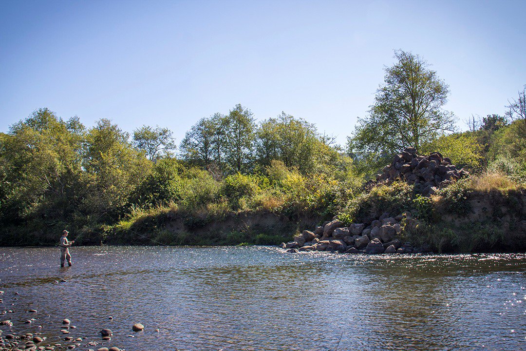 Discover! Did you know that salmon recovery efforts commence next week at the <a href="/PortofKalama/">Port of Kalama</a>? #fishing #Salmon #Habitat #environment #EnvironmentalStewardship #Kalama #KalamaRiver #PortOfKalama

portofkalama.com/discover-salmo…