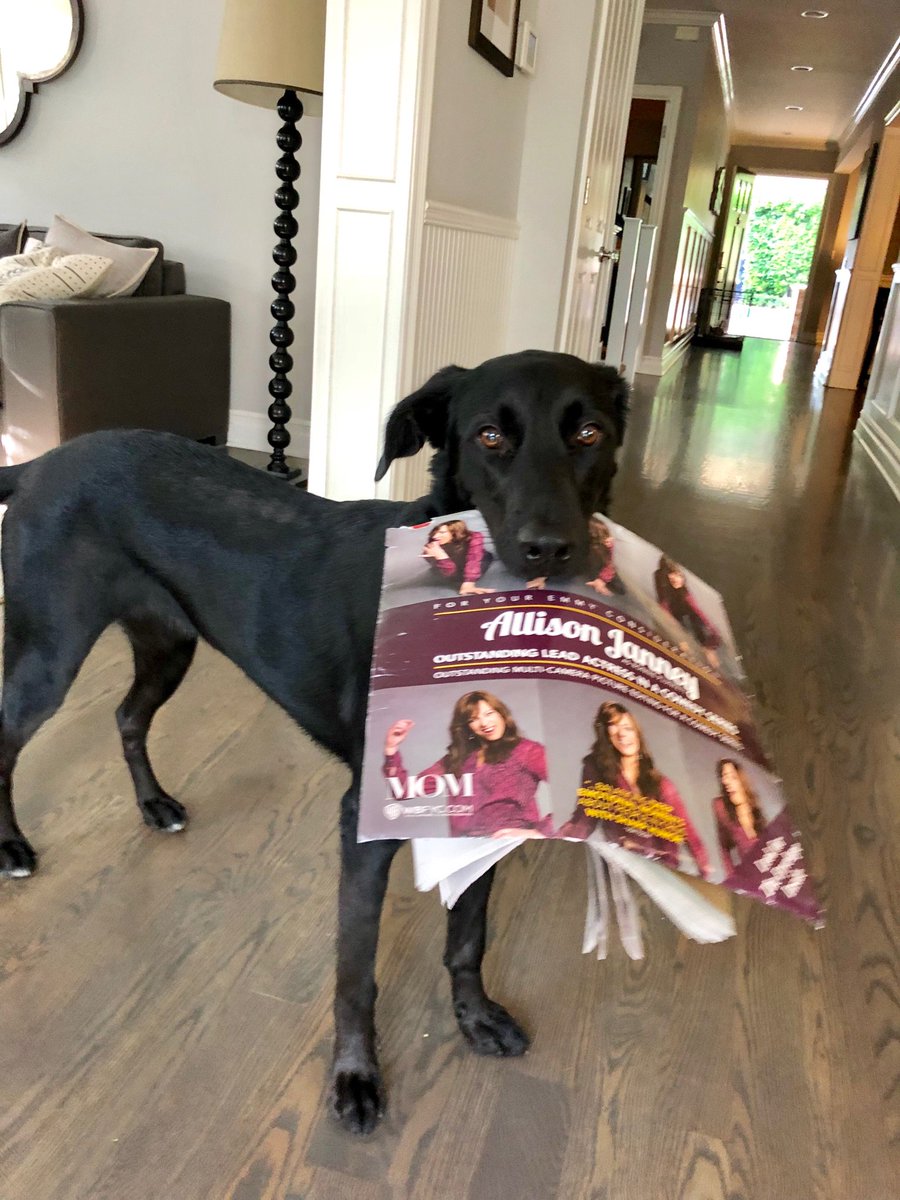 AllisonBJanney's tweet image. Meet my new best friend! 🐕