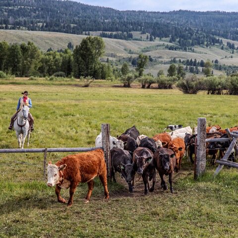 Boot Barn On Twitter Bringin Em In For A Wild Weekend