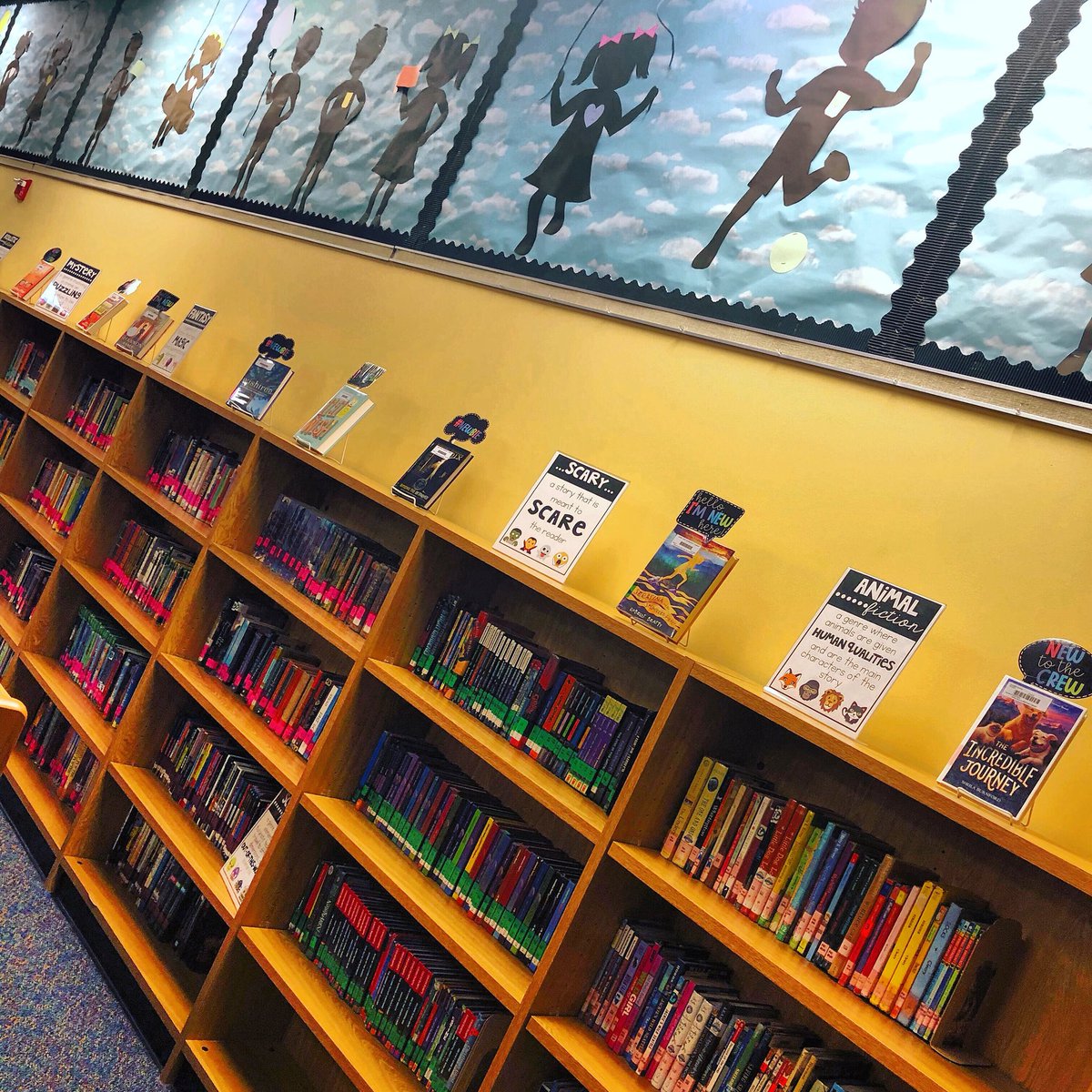 MrsArnoldJES's tweet photo. I can’t wait for my kiddos to dive into our newly genrefied fiction section! #crusaderproud #todayiwillfly #VVSDLearns https://t.co/NsKjDYKmwq