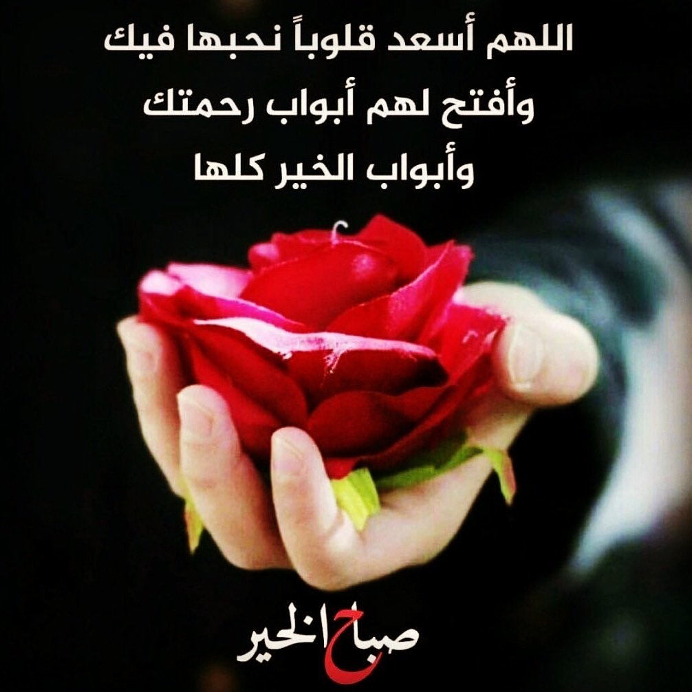 ..👑شمالي👑.. (@6pe3c19jhhb6sou) on Twitter photo 