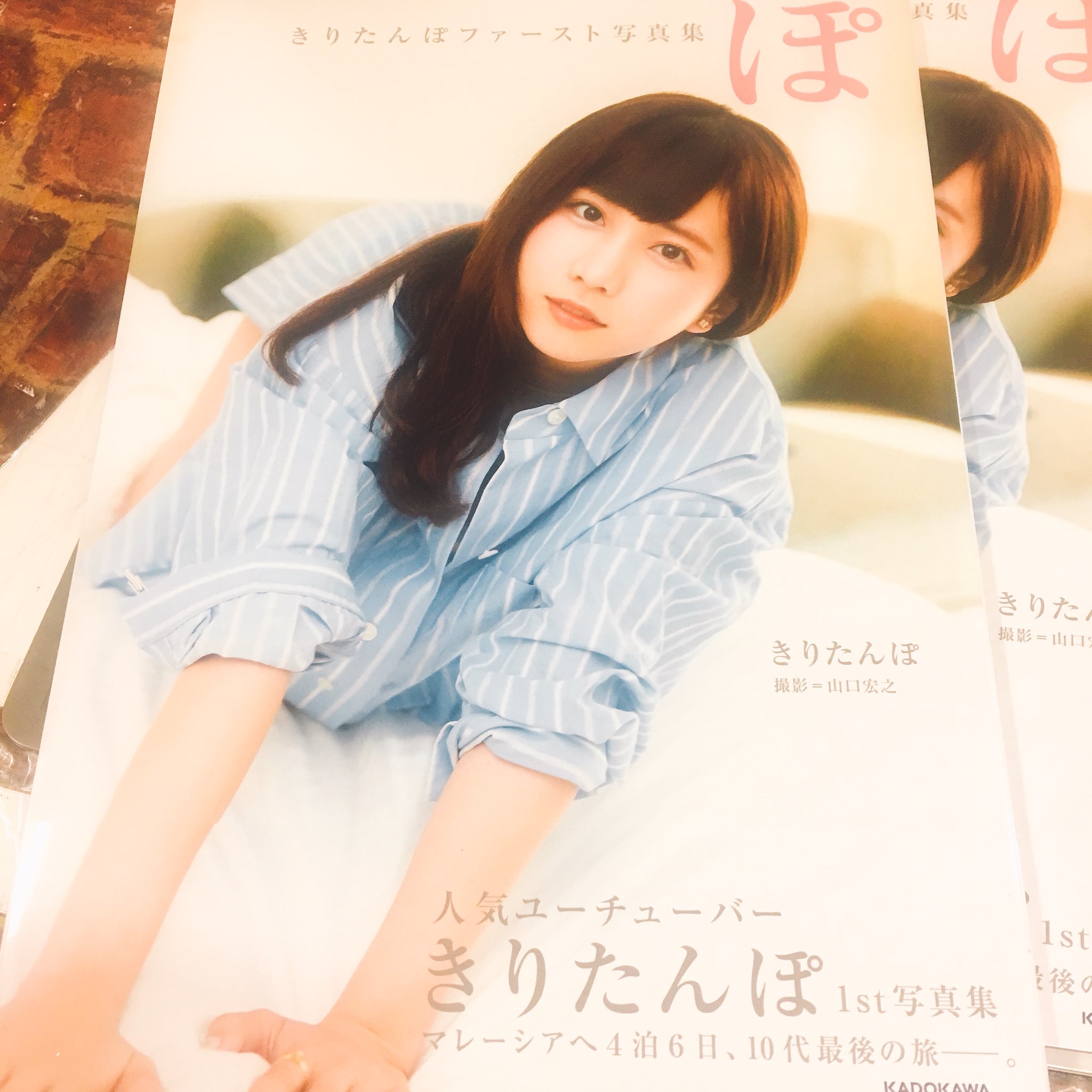 ヴィレッジヴァンガードイオン豊橋南 人気ユーチューバー きりたんぽ ファースト写真集 ぽ 特典でセクスィーきりたんのフォトカードつきます 裏表紙できりたんが持ってるうんこちゃん うちにもありました 笑 きりたんぽ きりたんぱー