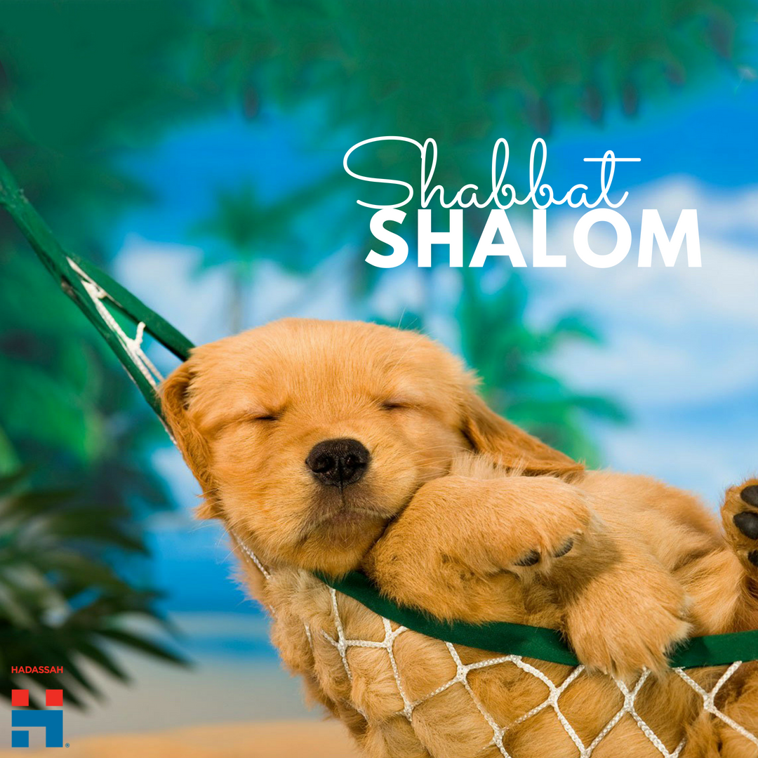 Hadassah on Twitter: "We're deep in the dog days of summer, so may this  Shabbat brings you plenty of rest, relaxation...and a chance to beat the  heat! #ShabbatShalom https://t.co/bclyCz4zhp" / Twitter