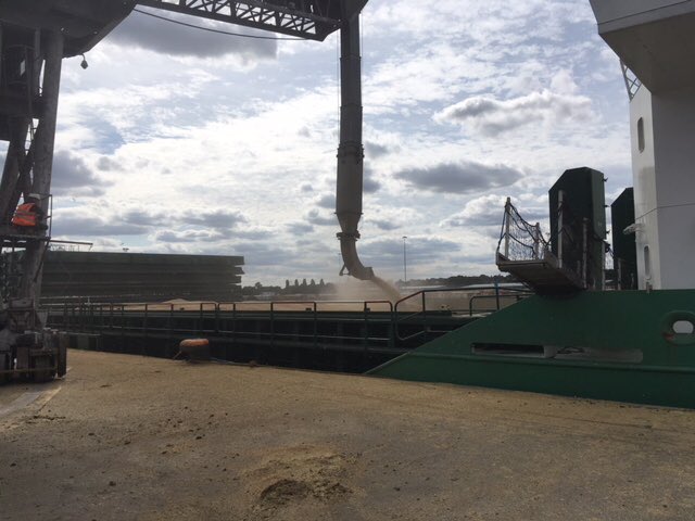 Cefetra's tweet photo. #Cefetra loading @ArklowShipping #ArklowVenus at Ipswich Grain Terminal. #Export #Wheat grown by #British #Farmers for the world #markets. @Cefetra, #TheSupplyChainManager https://t.co/a6Hfxhtq42