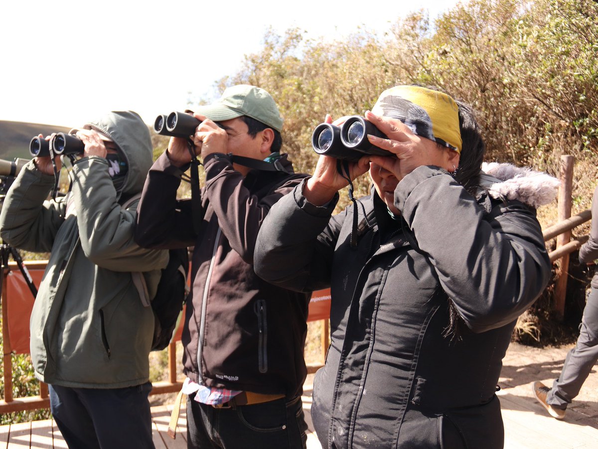 #Ecuador > El Ministerio del <a href="/Ambiente_Ec/">ambiente_ec</a> informa que el segundo Censo Nacional del Cóndor Andino se realizará del 17 al 19 de agosto en 180 puntos de observación simultánea a nivel nacional.