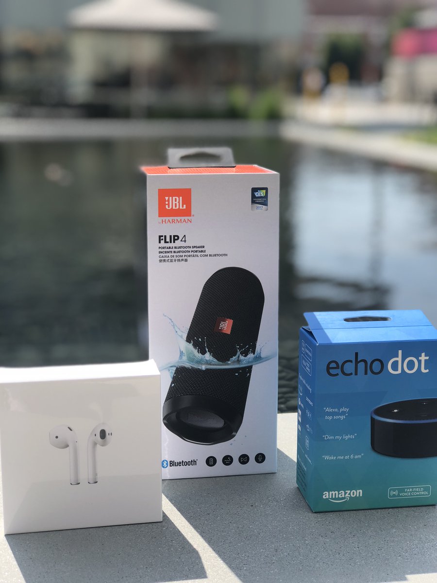jbl flip 4 echo dot