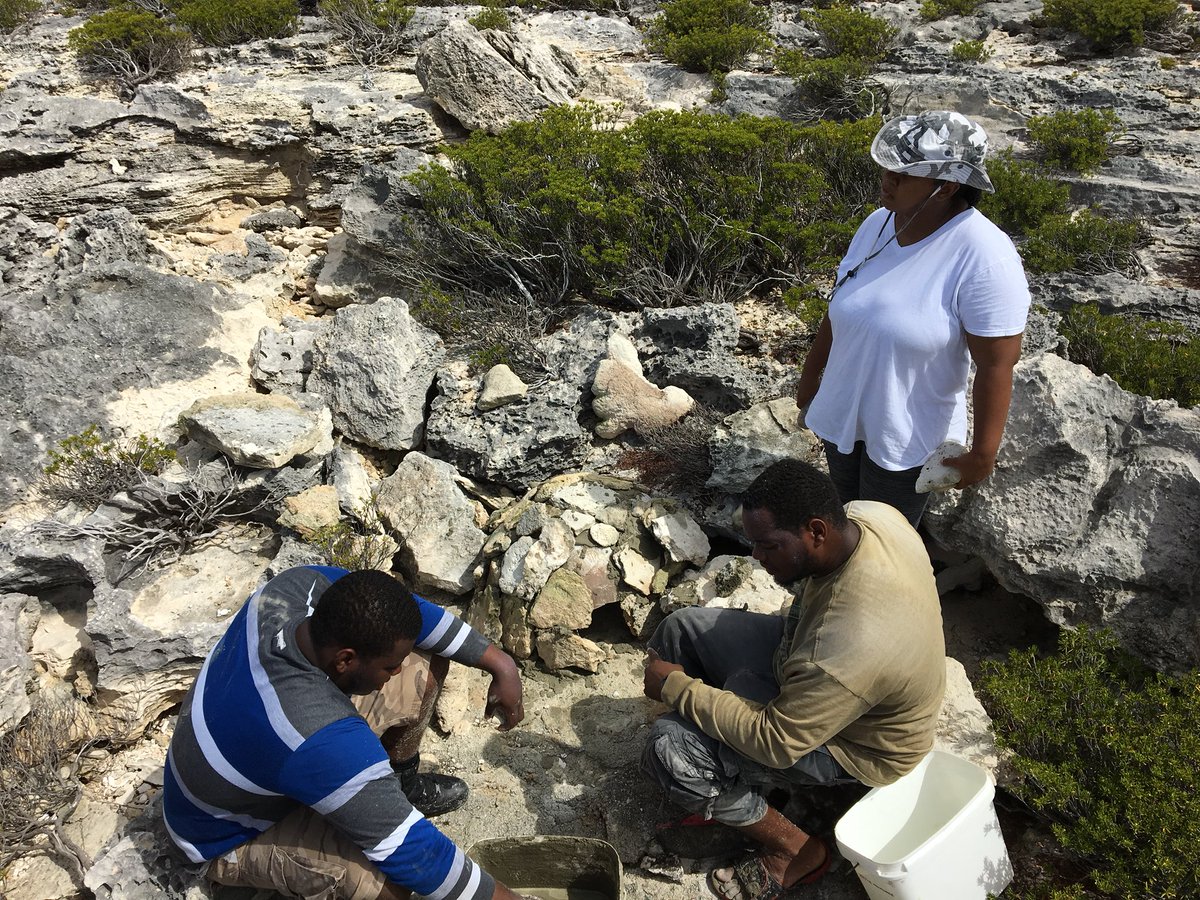 axatrust's tweet photo. Earlier this year, we received a @BirdsCaribbean Hurricane Relief Fund grant to restore red-billed tropicbird habitat that was destroyed on #Anguilla’s offshore cays during Hurricane Irma. We constructed artificial nest boxes/igloos &amp; installed the first batch this week! https://t.co/YGgXcGm2o5