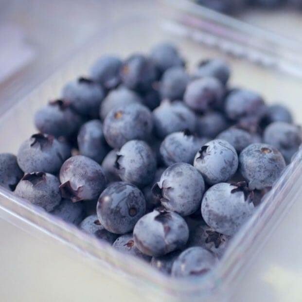 JoseJcuriel's tweet photo. Del invernadero, al paladar #proberries https://t.co/bLCJb4o4AY