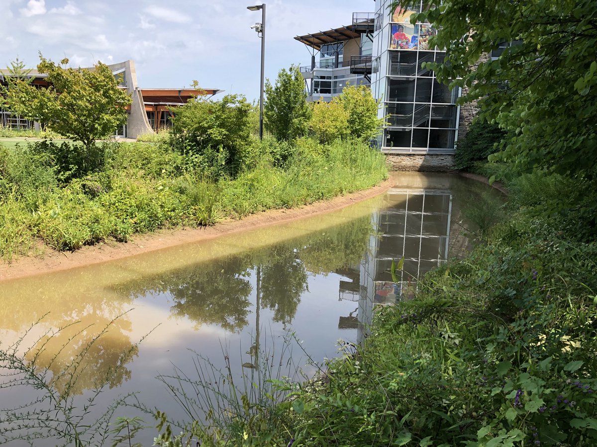 goatsmoat's tweet photo. What’s this beautiful #moat all about? Stay tuned to find out. https://t.co/ZqRmat4Lof