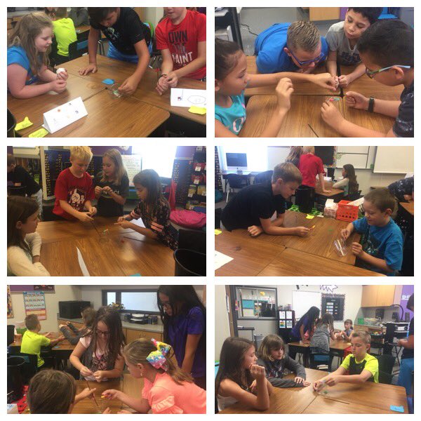 Rhonda Wellmann tweet media