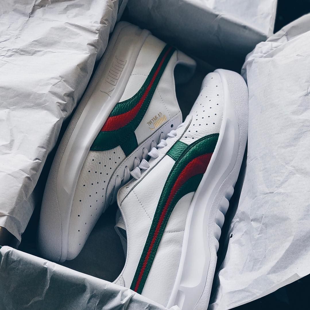 puma gv special gucci