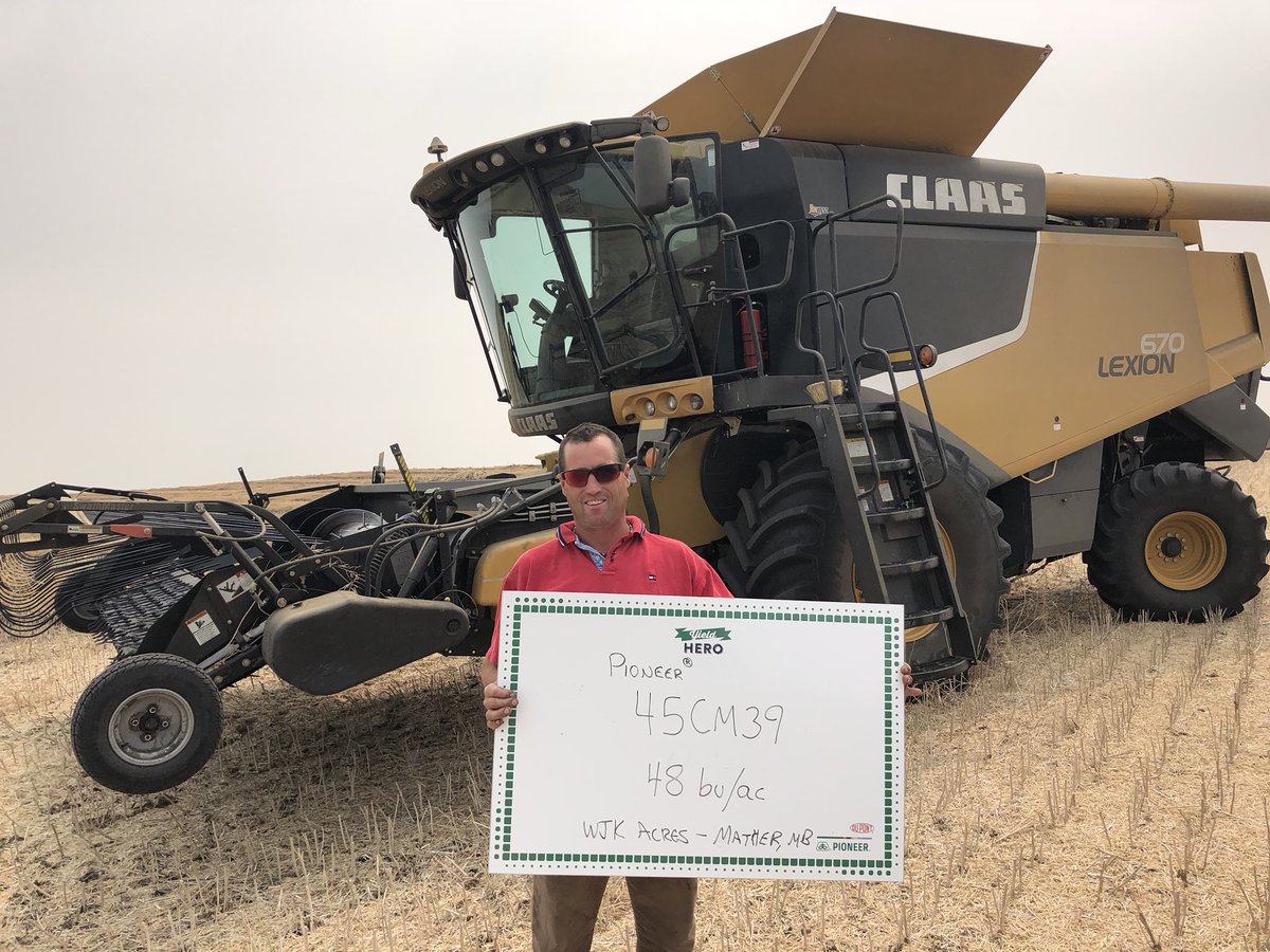 NathanMcLaren9's tweet image. That time of year again, #yieldhero18
is ramping back up. The first entry this year is a good yield of canola from south of Mather, MB! Looking good Wendell! @PioneerSeedsCA #45CM39