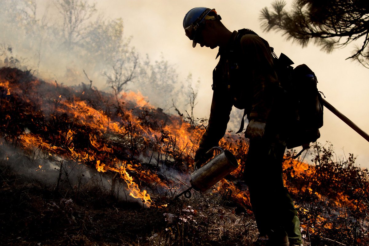 More than 3,500 interagency personnel, including 253 from the USDA Forest Service are fighting the #CarrFire in California. It currently covers more than 218,000 acres and is 75 percent contained. National Guard has been assigned to assist with the firefighting efforts.
