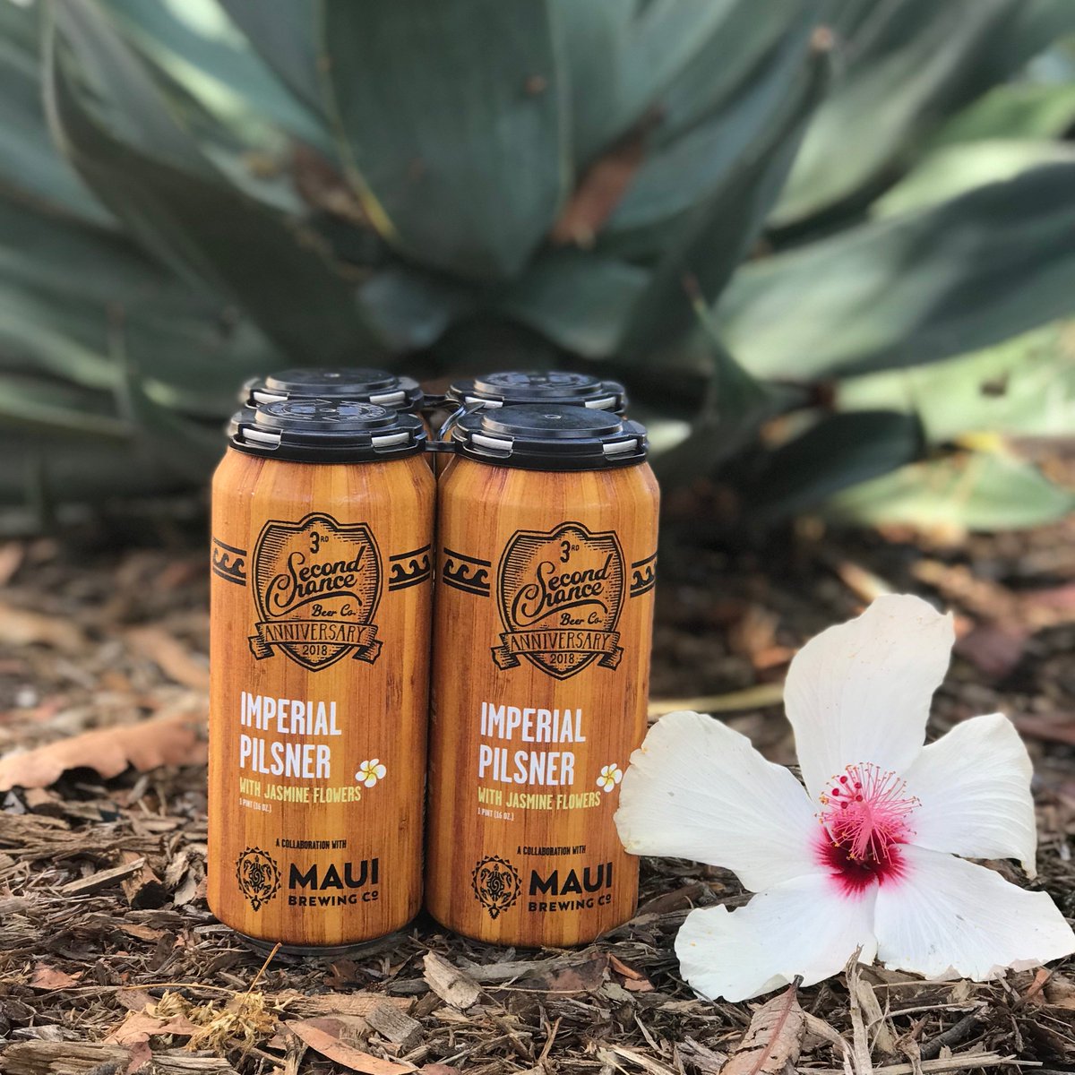 2ndChanceBeerCo's tweet image. Our 3rd Anniversary Imperial Pilsner Can Release is TOMORROW! Visit us at either location for a taste of paradise. 😋🌴 @mauibrewingco 
.
.
.
#seizesipenjoy #collaboration #pilsner #imperialpilsner #seizethemoment #happybday #secondchance #beer #craftbeer #indiebeer #drinklocal