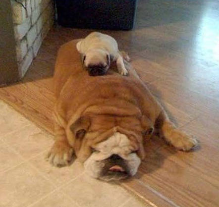 트위터에 가입한 날이 언제인지 기억하시나요? 트위터는 기억한답니다! #MyTwitterAnniversary