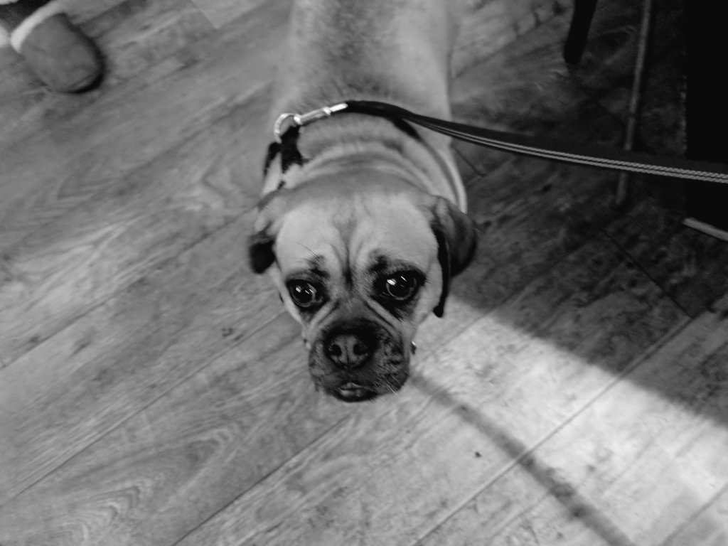 Briggs_JT's tweet photo. Day 1 of my back and white photo challenge. Set by @amwwise a black and white moment of my day. No people no explanation @milbery_paige fancy a go? https://t.co/Uy6iEKWAOZ