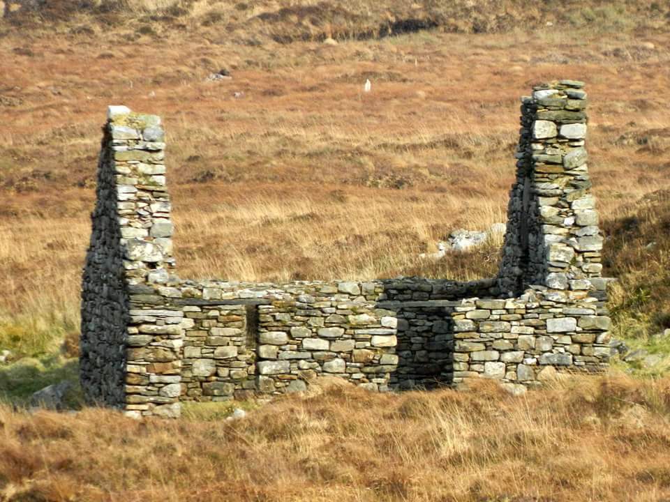kerryhols's tweet photo. Ireland.#Ireland #Kerry #Killarney #dingle #WestCork #historycon2018 #History #familyhistory #familydna #Immigration #Anthropology #architecture #architect #Homeland #Vacations #vacationrentals #vacationrental #holidaycottage #familyhistory #Hinterland #outdoors #Airbnb #USA https://t.co/U5YkHeVrTx