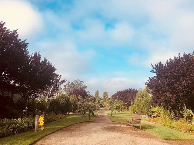 jenmorrisonlive's tweet photo. Daily morning walk to the gym. 😍 https://t.co/XHOZ7A7A9l https://t.co/zTMzuDfesL