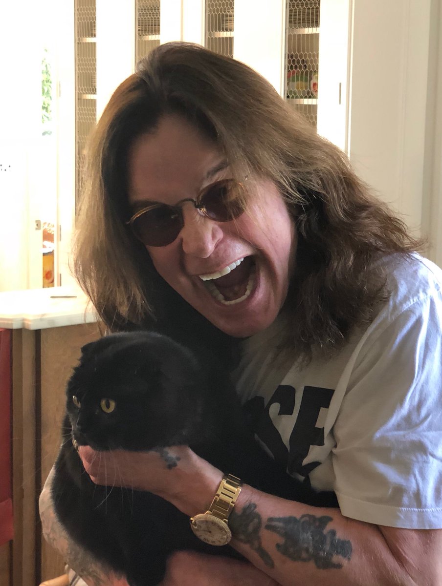 Ozzy Osbourne’s Dark Confession: The 17 Cats He Claimed in a Drug‑Fueled Nightmare