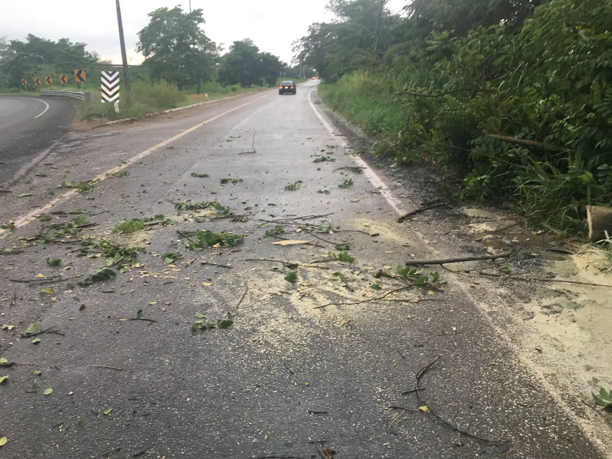 Se atiende caída de un árbol sobre la carretera Vhsa- Teapa a la altura del km.1 en la desviación que va a la col.Gaviotas, se corta y se retira para evitar un riesgo a los automovilistas que transitan la zona.
@casildaruiz8 @UlisesChavezV_ <a href="/antoniojmoscoso/">Antonio Moscoso</a>
