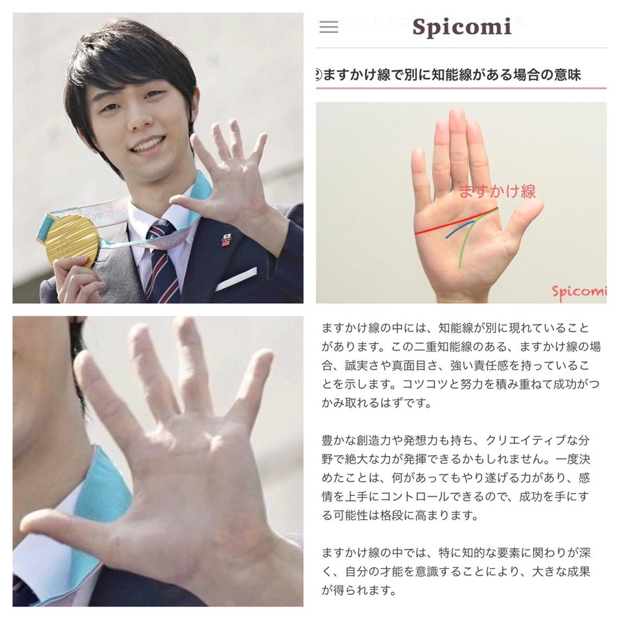 変形ますかけ線とは 性格や適職などを男女別に紹介 手相占い11選 6ページ目 セレスティア358