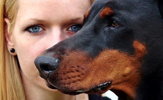 hi_sight's tweet photo. #TheLink between #AnimalAbuse and human violence is often #hiddeninsight - that’s why with @Naturewatch_org we train #LawEnforcement why dealing with animal crime matters https://t.co/ke8SX7PlYS