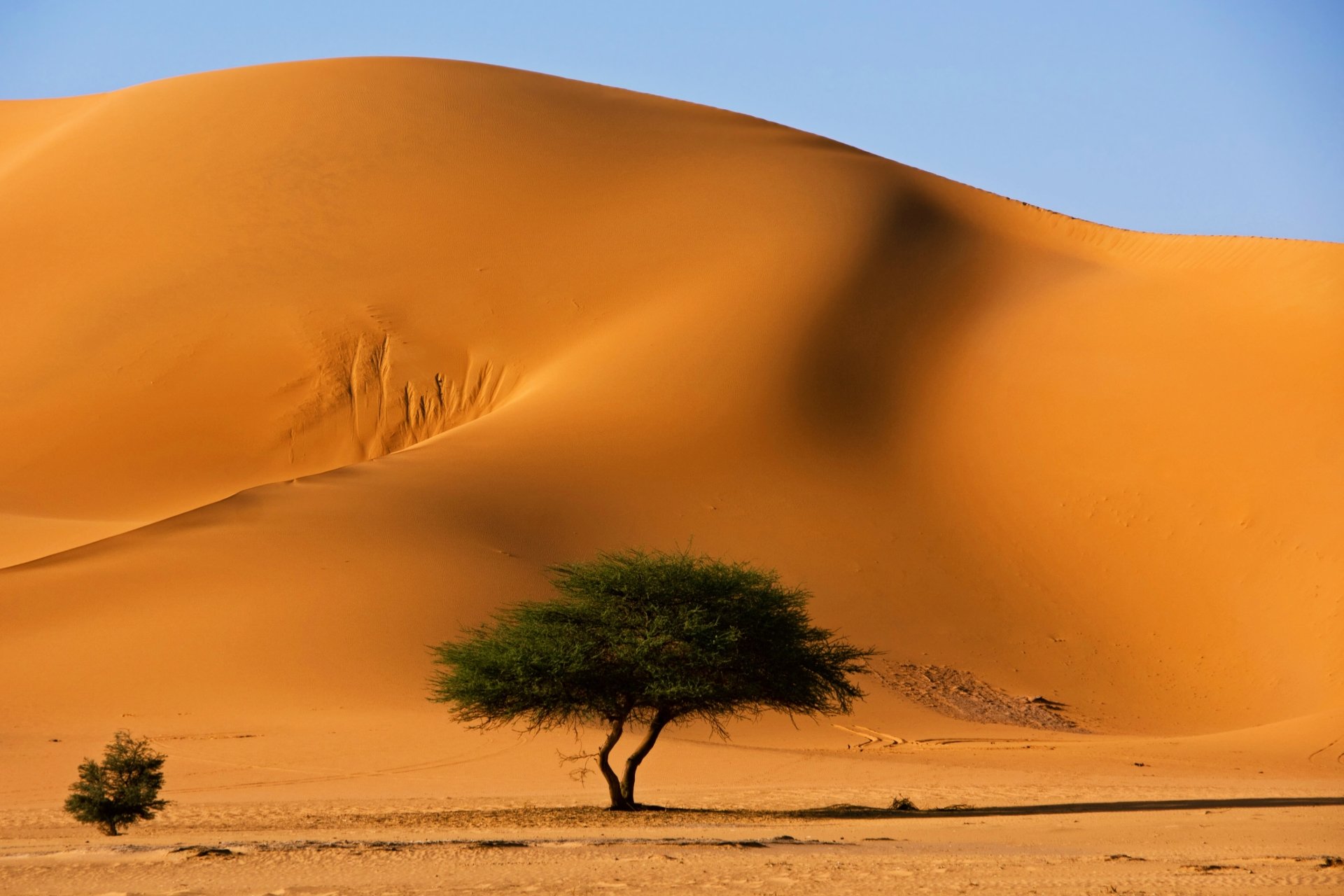 Daniel De Arles Citation Du Jour J Ai Toujours Aime Le Desert On S Assoit Sur Une Dune De Sable On Ne Voit Rien On N Entend Rien Et Cependant Quelque Chose Daniel De Arles Citation Du Jour J Ai Toujours Aime Le Desert On S Assoit Sur Une Dune De Sable On Ne Voit Rien On N Entend Rien Et Cependant Quelque Chose