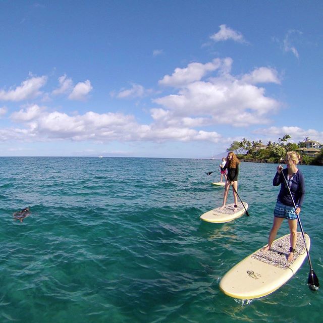 mauisup's tweet photo. Do something that makes you forget about your phone. #suplife https://t.co/TrBIrvUupJ