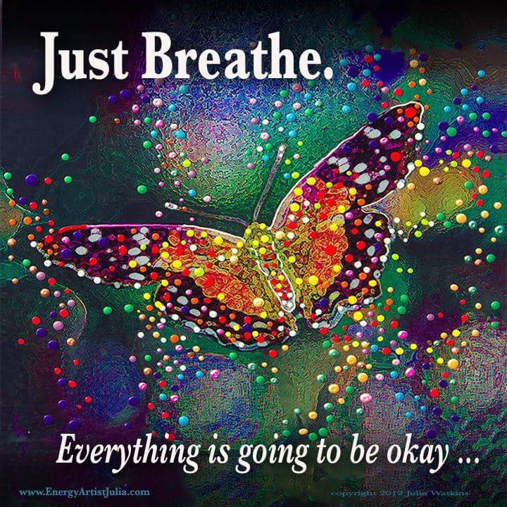 Malisa Burton (@malisaburton14) on Twitter photo 