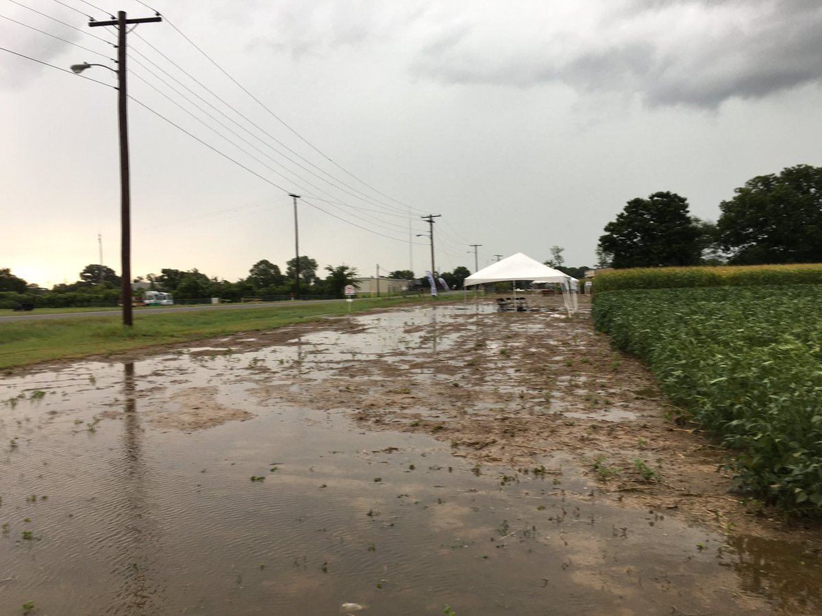 Innvictis's tweet photo. Mother Nature had a few things to say about the agenda in Dyersburg. That didn’t stop this team! Through mud and rain, @Innvictis and @SeedMission still represented very well! Reach out to any @PinnacleAgLLC sales lead for more tours! #growtoyield #thesebootsweremadeforfarming https://t.co/CAKB67AZIn