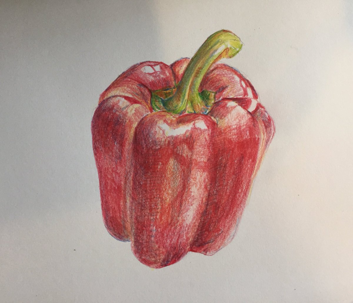 三竦未来 ひさびさに鉛筆デッサン 何年ぶりだろう りんご じゃありません笑 左が書き書け 右が仕上げ もちろん今晩のおかずにします 焼肉です 色鉛筆デッサン 色彩デッサン