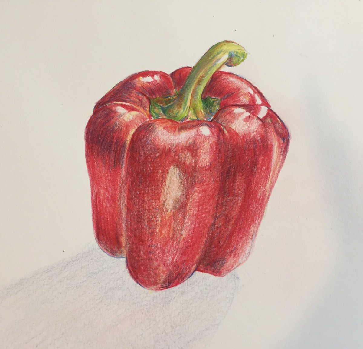 色鉛筆デッサン Twitter Search