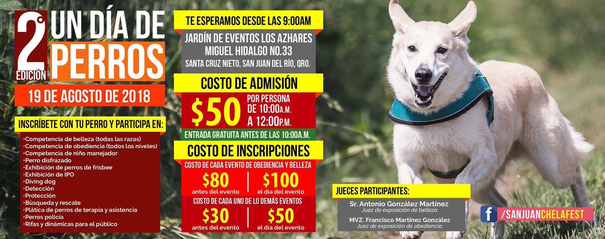 hostapetmexico's tweet photo. ¿Que planes tienen para este fin? 🐶 👨‍👩‍👧‍👧  

Disfruta Un Día de Perros en @SJR_CHELAFEST 2018 donde habrá mucha diversión y podrás disfrutar decerveza artesanal, comida y una variedad de artistas. #EventoPetFriendly

https://t.co/67k4ZShccO https://t.co/qK2LjHpxAA