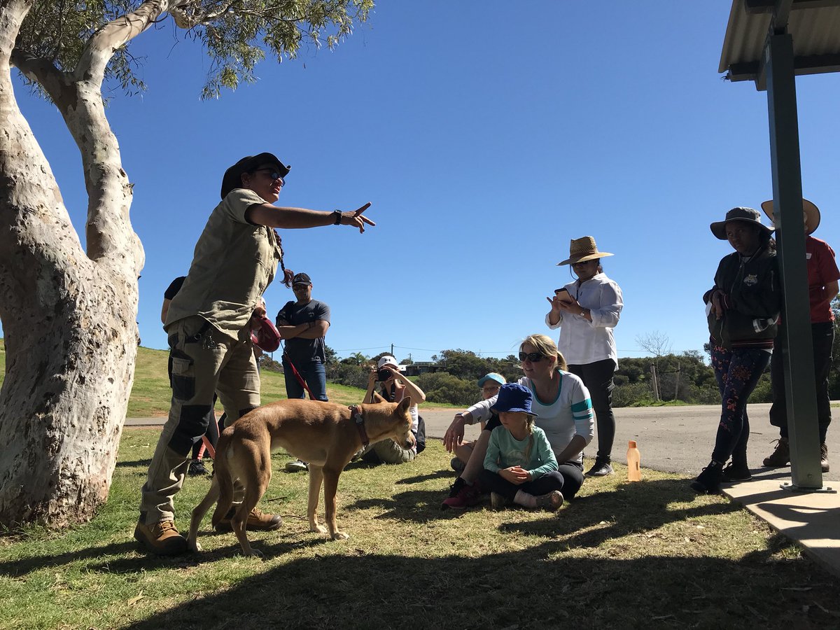 ChapmanRiver Friends tweet media