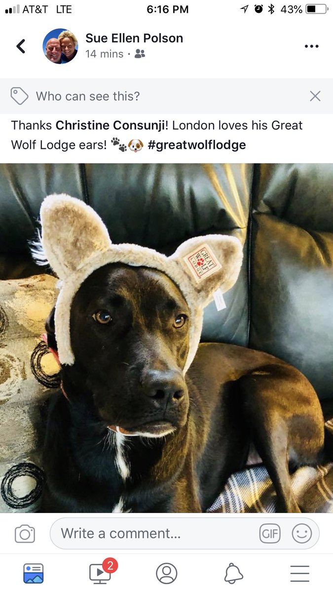 chrisc_gr8wolf's tweet photo. #TailsfromGreatWolf. Literally! #dogtails https://t.co/RFAN6NlIku