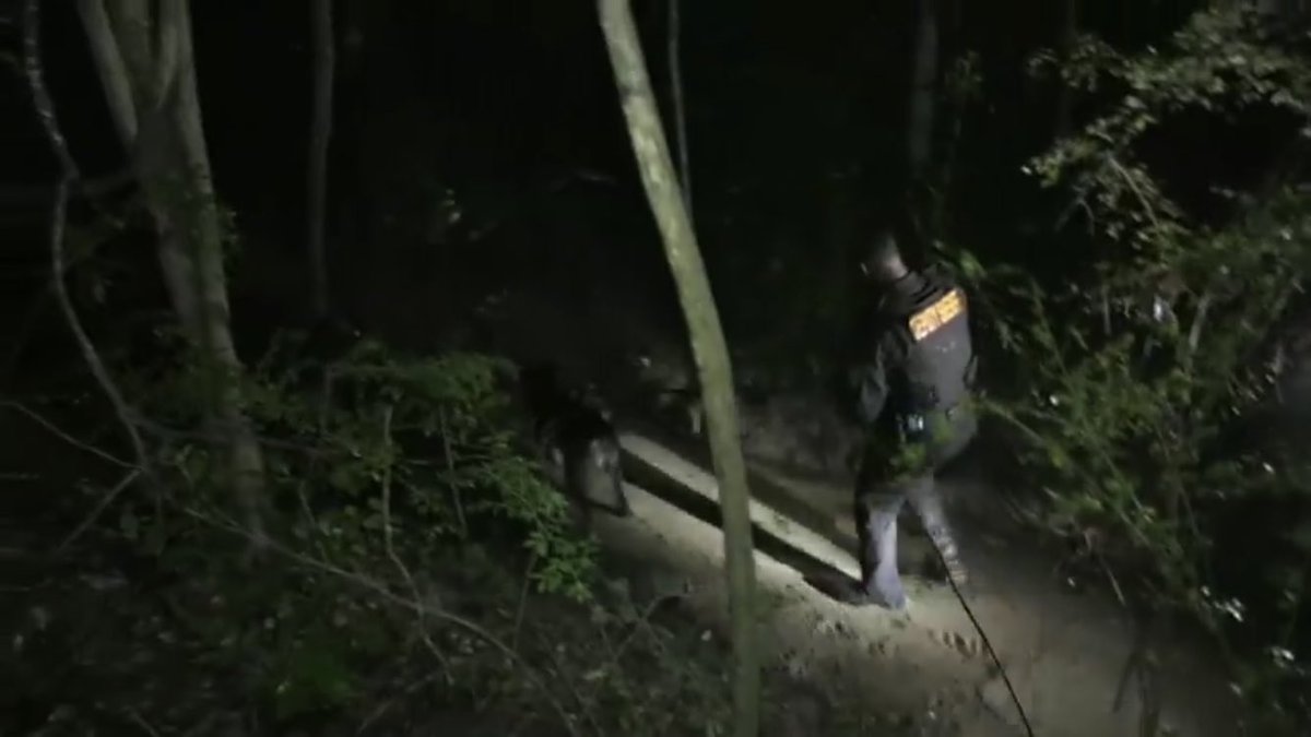 RCSD's tweet image. It’s #K9Time!! Let’s go Sgt Abraham and K9 Denzel. Gets that bad man!! @OfficialLivePD #LivePD 🐶