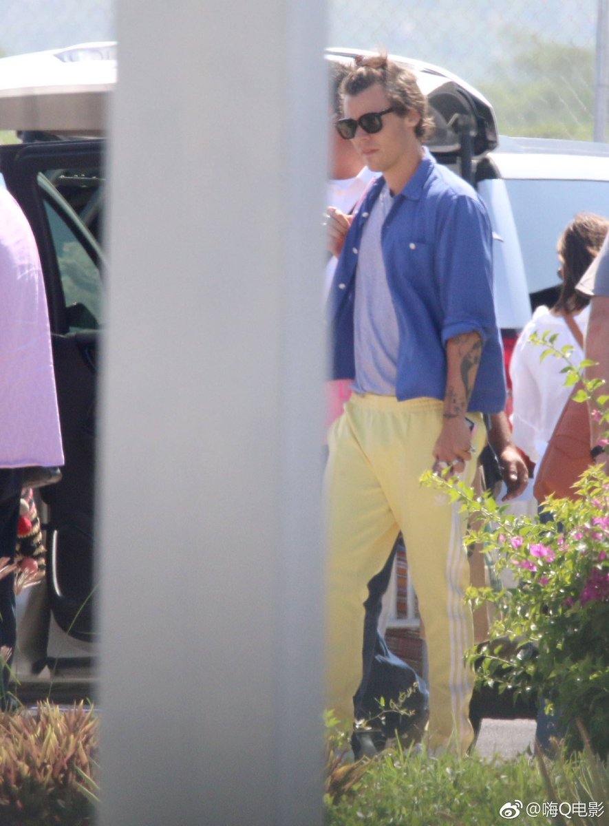 pradakiwi's tweet photo. THE YELLOW PANTS SHUT THE FUCK UP https://t.co/nuUCYyOOgE