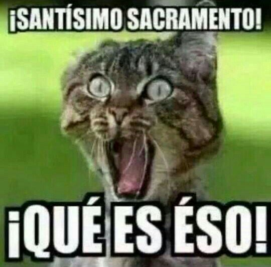 losmamon's tweet image. U.Amagar;
Hacer ademán de herir o golpear y amenazar a alguien con algún mal o mostrar intención de hacérselo y amenazar o presentarse como inminente a una o más personas o cosas.
#MemeVestíbūlum #MemeLobbyNO #MemeCineastaDocente #MemeCiñeEdificioEUA
@aderivare