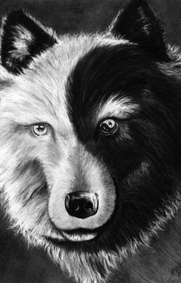 EmraldCenturion's tweet photo. We all have good and evil in us, but it is the one we feed that will prevail. https://t.co/TdRVm33rsA