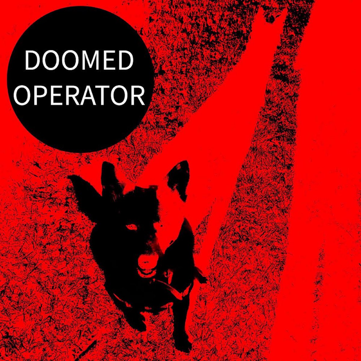 dexterdogstudio's tweet photo. https://t.co/IasJkPzpEH

https://t.co/OACV1Fqux3

https://t.co/Ru0zwU8Rzg

https://t.co/pElnKGKBsS

https://t.co/U0IjVHLi1x

https://t.co/bZvYEg0qHn https://t.co/Kzrq43dnhL