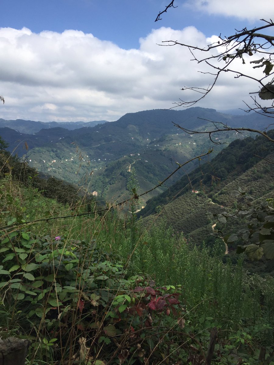 sabri_ozturk_28's tweet image. #çicekler 
#kuşlar 
#böcekler 
#güller 

#ay ve #yıldız 

#GÜNAYDIN #TÜRKİYEM 

#burası #GİRESUN