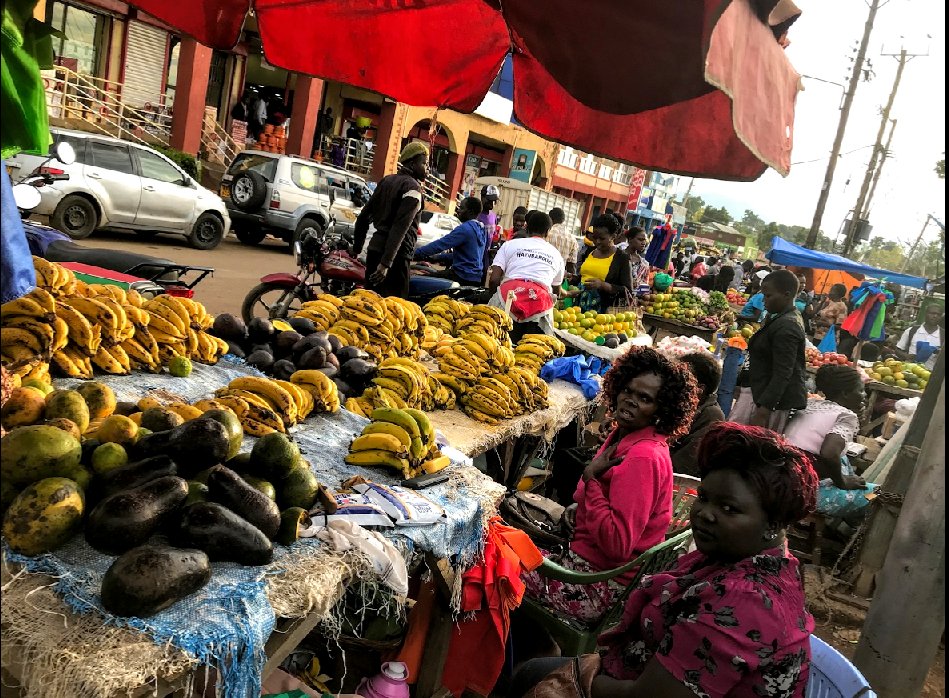 توییتر Expat By クーリエ ジャポン در توییتر 正直ケニアに来る前は料理とか美味いのかな まともな食材とか手に入るのかな と思っていました ところがどっこい ケニア西部は赤道直下の熱帯雨林気候とサバナ気候 の中間みたいなところに位置しているので 植物